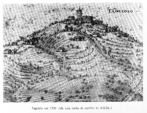  Tagliolo - Stampa 